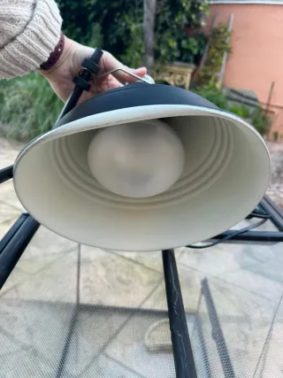 Terrario Exoterra Negro con Accesorios