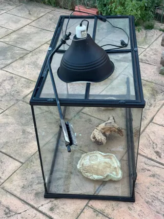 Terrario Exoterra Negro con Accesorios