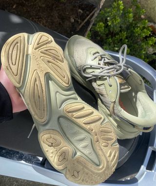 Adidas Ozweego Verde Oliva