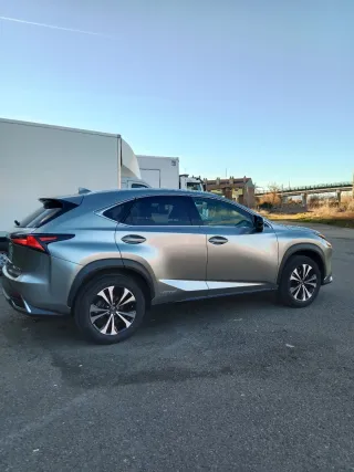 Lexus NX 2021