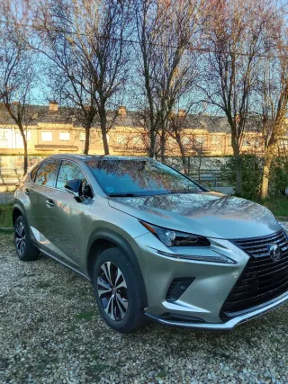 Lexus NX 2021