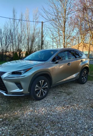 Lexus NX 2021