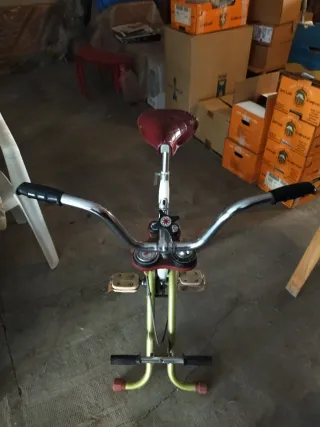 Bicicleta Estática Vintage Torrot