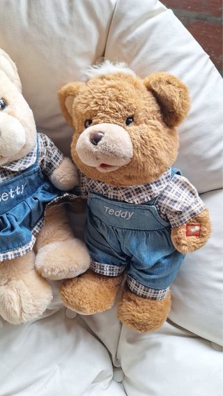 2 Ositos de Peluche con Ropa
