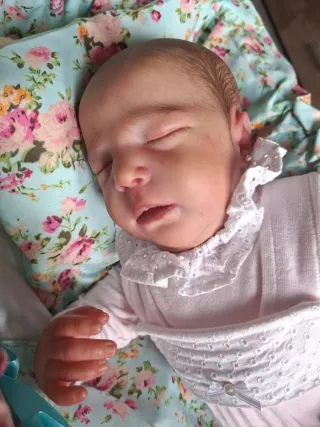 Bebé Reborn Hiperrealistas