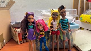 Set Famiglia Wolf Monster High