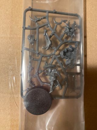 Chaman Cueva Fungoid Warhammer AoS