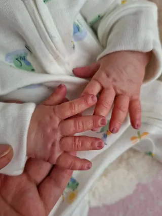 Bebé Reborn Hiperrealista