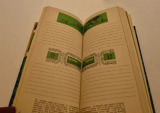 Diari Personalità 1979 da collezione