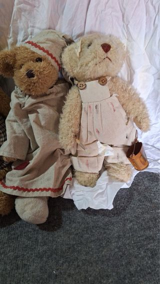 Lote 6 peluches: 2 muñecas y 4 ositos
