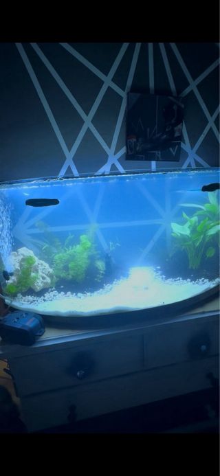 Acuario 120L