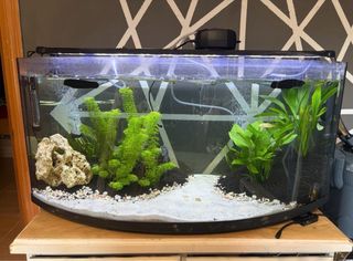 Acuario 120L