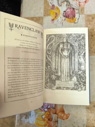 Harry Potter especial Gryffindor y Ravenclaw