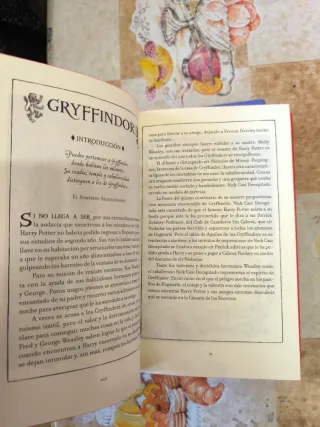 Harry Potter especial Gryffindor y Ravenclaw