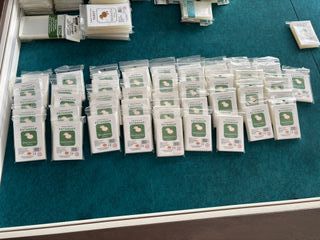 Fundas Sleeve Kings 70x70mm (110 uds)