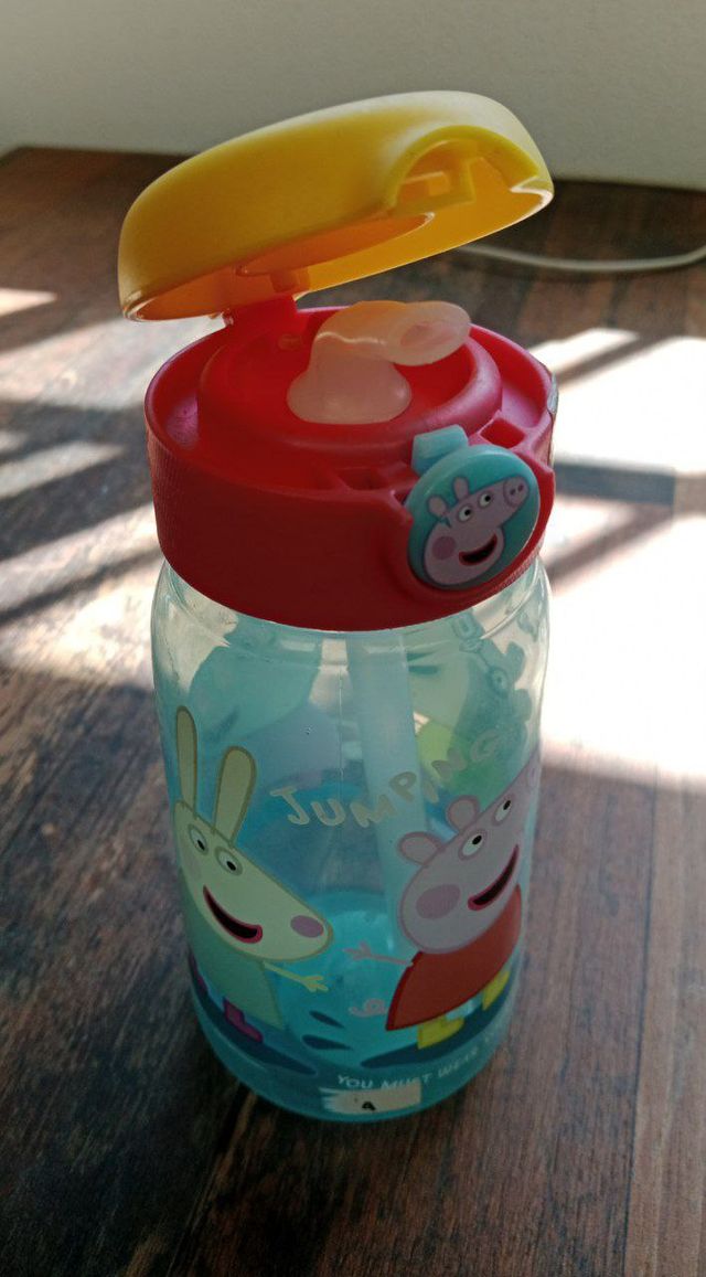 Garrafa Peppa Pig 510 ml