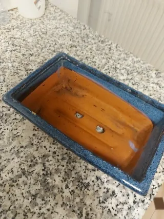 Maceta Bonsái Cerámica Azul y Terracota