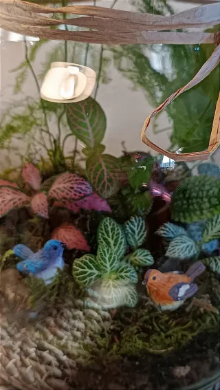 Terrario Pajaritos. Jardín eterno