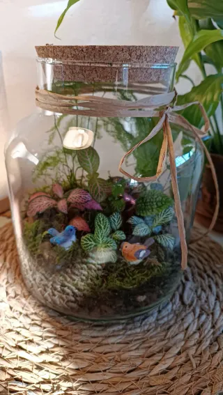 Terrario Pajaritos. Jardín eterno