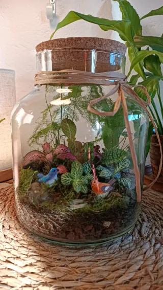 Terrario Pajaritos. Jardín eterno