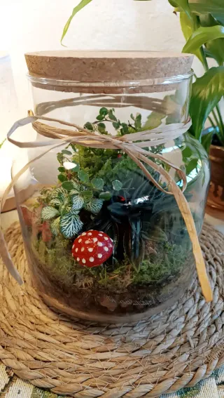 Terrario Pajaritos. Jardín eterno