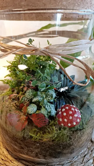 Terrario Pajaritos. Jardín eterno