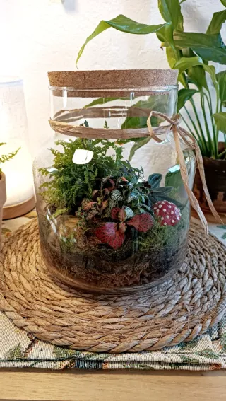 Terrario Pajaritos. Jardín eterno