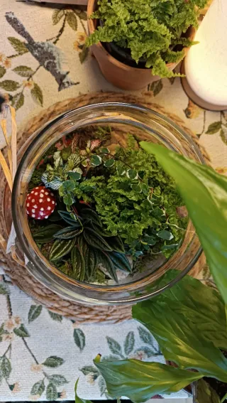 Terrario Pajaritos. Jardín eterno