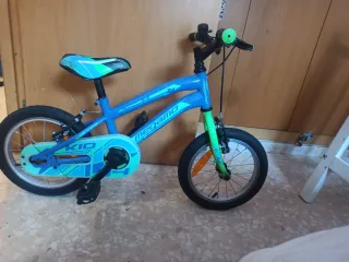 Bicicleta infantil azul y verde