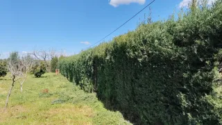 Servicios de Jardinería Profesional