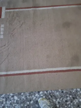 Alfombra Beige y Marrón 2.3x1.6