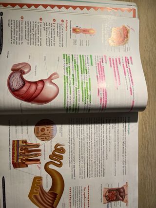 Biología y Geología 3º ESO.