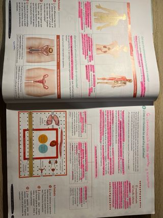 Biología y Geología 3º ESO.