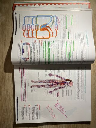 Biología y Geología 3º ESO.