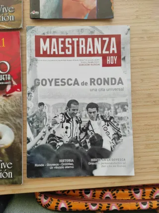 Lote de 4 revistas toros el ruedo malaga