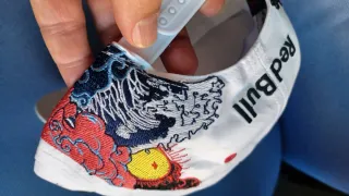 Gorra Red Bull Racing Verstappen GP Japón 2025