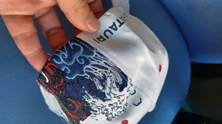 Gorra Red Bull Racing Verstappen GP Japón 2025