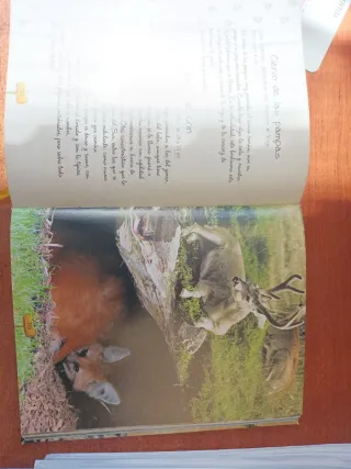 Los porqués de los animales