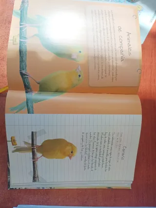 Los porqués de los animales