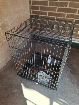 Jaula para loro pequeño