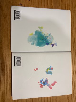 La chica a la orilla del mar