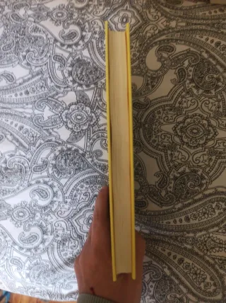 Harry Potter Y La Piedra Filosofal