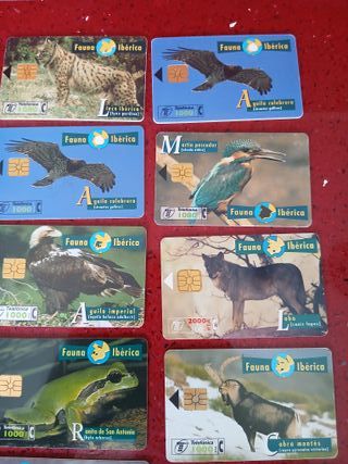 🇪🇦 15 Tarjetas Telefónicas Fauna Ibérica