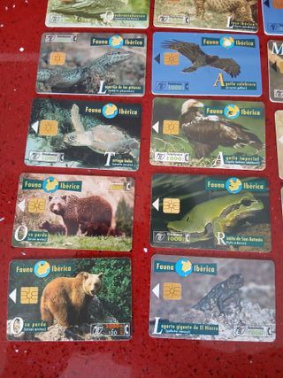 🇪🇦 15 Tarjetas Telefónicas Fauna Ibérica