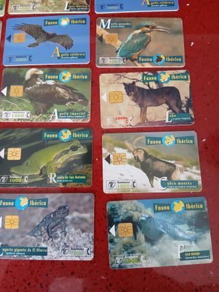 🇪🇦 15 Tarjetas Telefónicas Fauna Ibérica