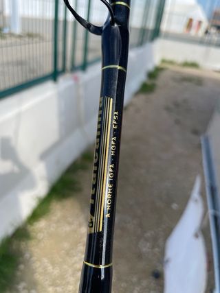 Caña stand up ITALCANNA BALTIMORA 2-20/30lb+TLD25