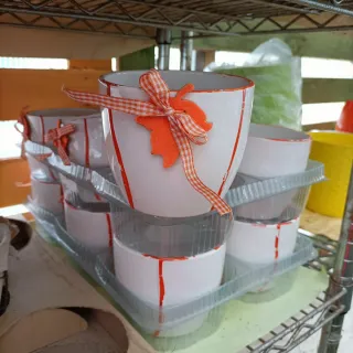 Vasi in terracotta e ceramica - 1€ cad.