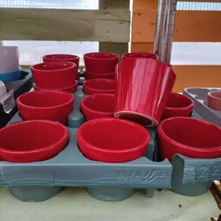 Vasi in terracotta e ceramica - 1€ cad.