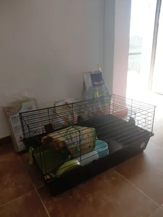 Jaula para conejos, cobayas y más