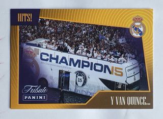 Cromo Y Van Quince Panini Real Madrid Champions